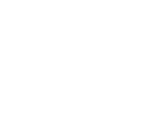 Mitglied SVIT Zürich